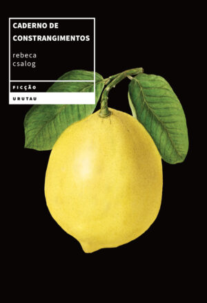 Caderno de constrangimentos