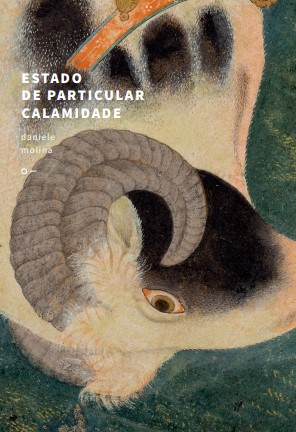 Estado de particular calamidade