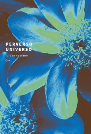 Perverso universo