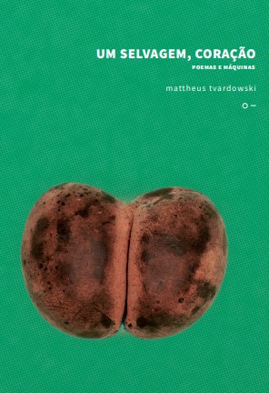 Um selvagem, coração: poemas e máquinas