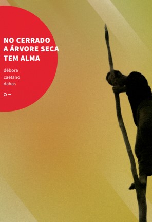 No cerrado a árvore seca tem alma