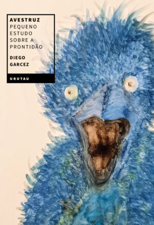 Avestruz pequeno estudo sobre a prontidão