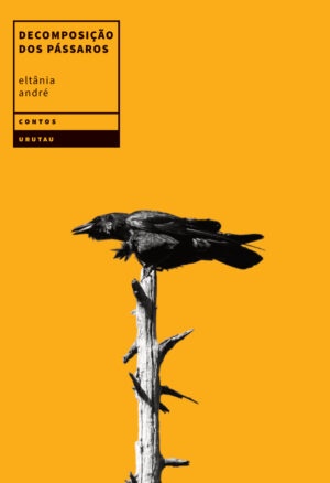 Decomposição dos pássaros