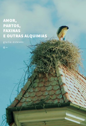 Amor, parto, faxinas e outras alquimias