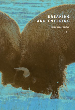 Breaking and entering