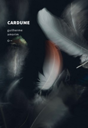 Cardume