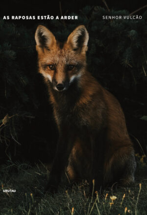 As raposas estão a arder