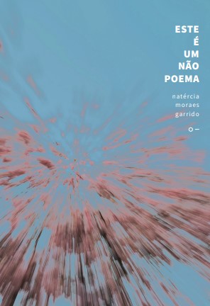 Este é um não poema