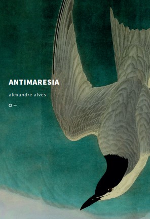 Antimaresia