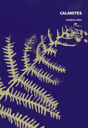 Calamites